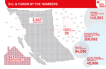 Infographics